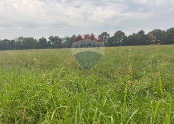Giardino - Terreno agricolo STRADA PROVINCIALE FRANCESCA, Cologno al Serio - foto 3