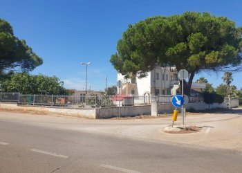 Foto 3 - Villa Contrada Palmieri
 
snc, San Nicandro Garganico - foto 3