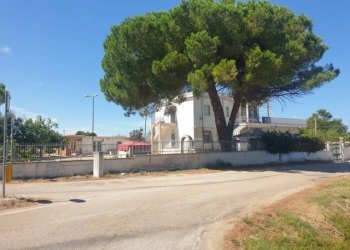 Foto 4 - Villa Contrada Palmieri
 
snc, San Nicandro Garganico - foto 4