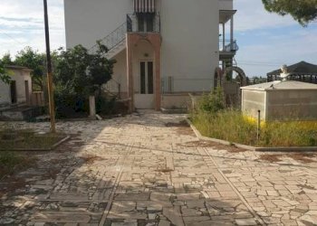 Foto 5 - Villa Contrada Palmieri
 
snc, San Nicandro Garganico - foto 5