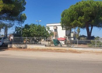 Foto 6 - Villa Contrada Palmieri
 
snc, San Nicandro Garganico - foto 6