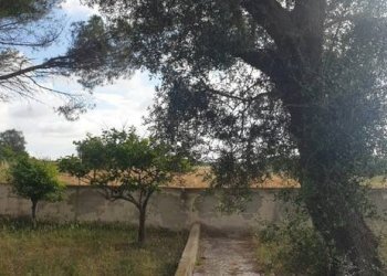 Foto 12 - Villa Contrada Palmieri
 
snc, San Nicandro Garganico - foto 12