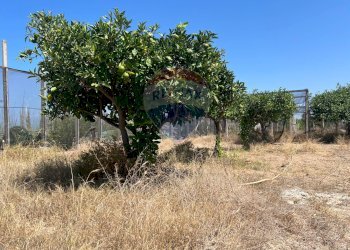 Giardino - Terreno edificabile Via Veneto, Vittoria - foto 8