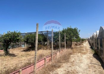 Giardino - Terreno edificabile Via Veneto, Vittoria - foto 9