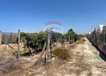 Giardino - Terreno edificabile Via Veneto, Vittoria - foto 10