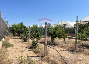 Giardino - Terreno edificabile Via Veneto, Vittoria - foto 12