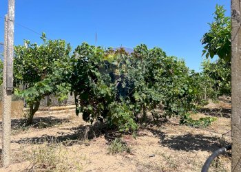 Giardino - Terreno edificabile Via Veneto, Vittoria - foto 13