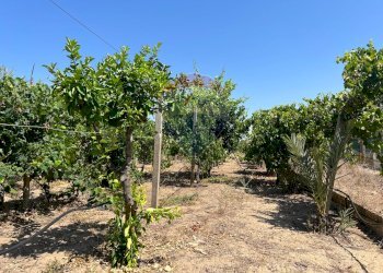 Giardino - Terreno edificabile Via Veneto, Vittoria - foto 14