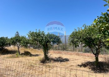 Giardino - Terreno edificabile Via Veneto, Vittoria - foto 24