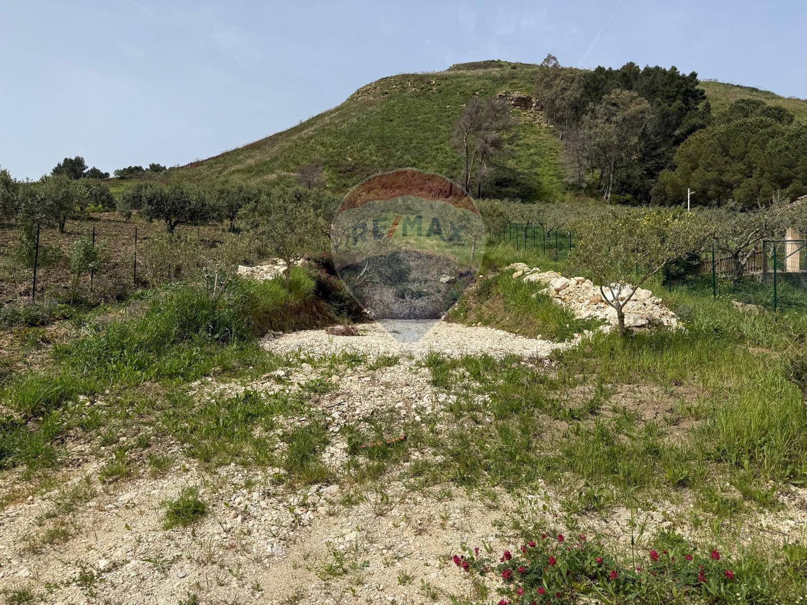 Vista delle montagne - Terreno agricolo Contrada Luziano, Buseto Palizzolo - foto 3