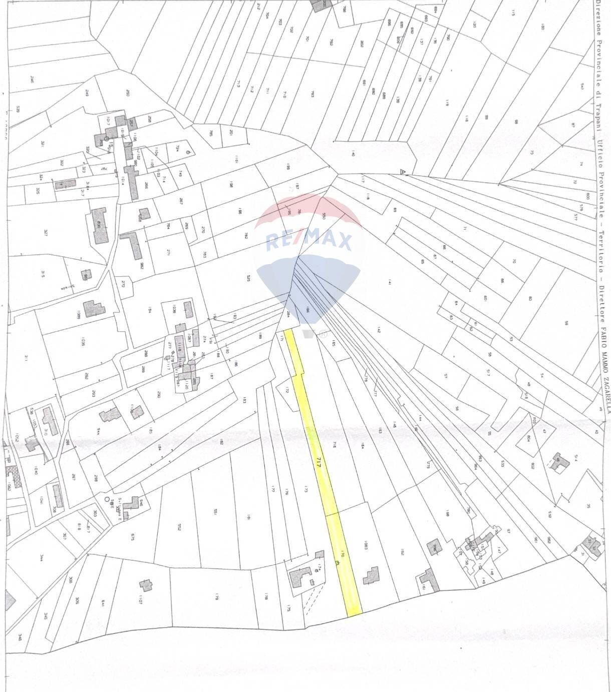 Pianta 2D - Terreno agricolo Contrada Luziano, Buseto Palizzolo - planimetria 1