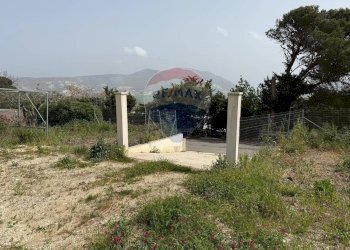 Giardino - Terreno agricolo Contrada Luziano, Buseto Palizzolo - foto 8