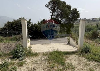 Giardino - Terreno agricolo Contrada Luziano, Buseto Palizzolo - foto 9