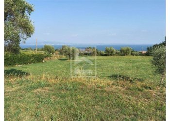 Foto 2 - Agricultural land San Martino
63, Manerba del Garda - photo 2