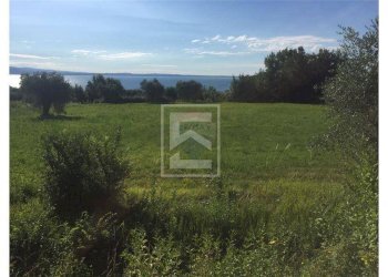 Foto 4 - Agricultural land San Martino
63, Manerba del Garda - photo 4