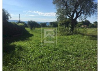 Foto 6 - Agricultural land San Martino
63, Manerba del Garda - photo 6