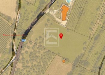 Foto 10 - Agricultural land San Martino
63, Manerba del Garda - photo 10