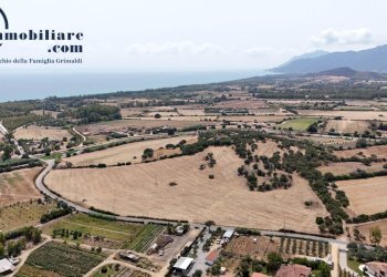 Foto 4 - Terreno agricolo Localita' Baueni, Bari Sardo - foto 4