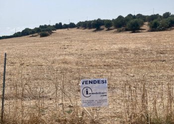 Foto 5 - Terreno agricolo Localita' Baueni, Bari Sardo - foto 5