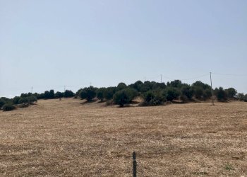 Foto 6 - Terreno agricolo Localita' Baueni, Bari Sardo - foto 6