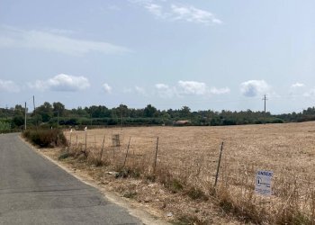 Foto 8 - Terreno agricolo Localita' Baueni, Bari Sardo - foto 8