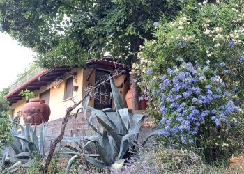 Foto 4 - Casa semi indipendente Amelia - foto 4