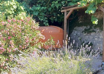 Foto 19 - Casa semi indipendente Amelia - foto 19