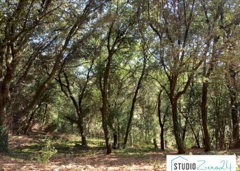 Foto 20 - Casa semi indipendente Amelia - foto 20