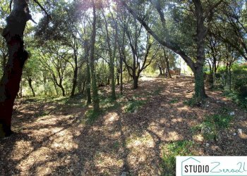 Foto 21 - Casa semi indipendente Amelia - foto 21