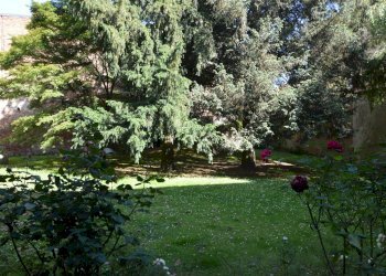 Foto 39 - Appartamento Via Cardano
 
77, Pavia - foto 39