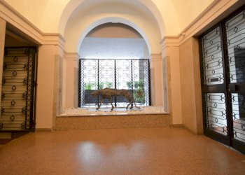 Foto 29 - Appartamento Piazza del Lino
 
4, Pavia - foto 29