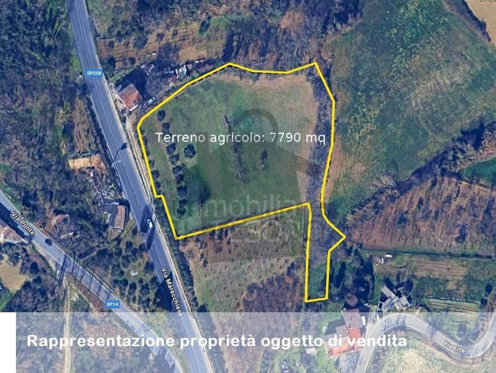Mappa - Terreno agricolo via Erta, 860, Verucchio - foto 1