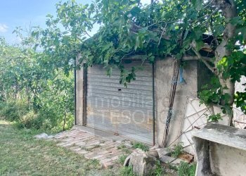 Giardino - Casa indipendente via Erta, 860, Verucchio - foto 3