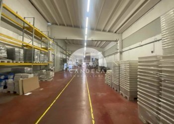 Capannone Ceva - foto 5