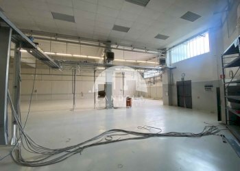 Capannone Ceva - foto 8