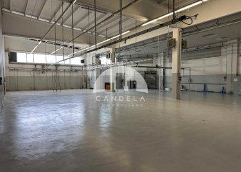 Capannone Ceva - foto 10