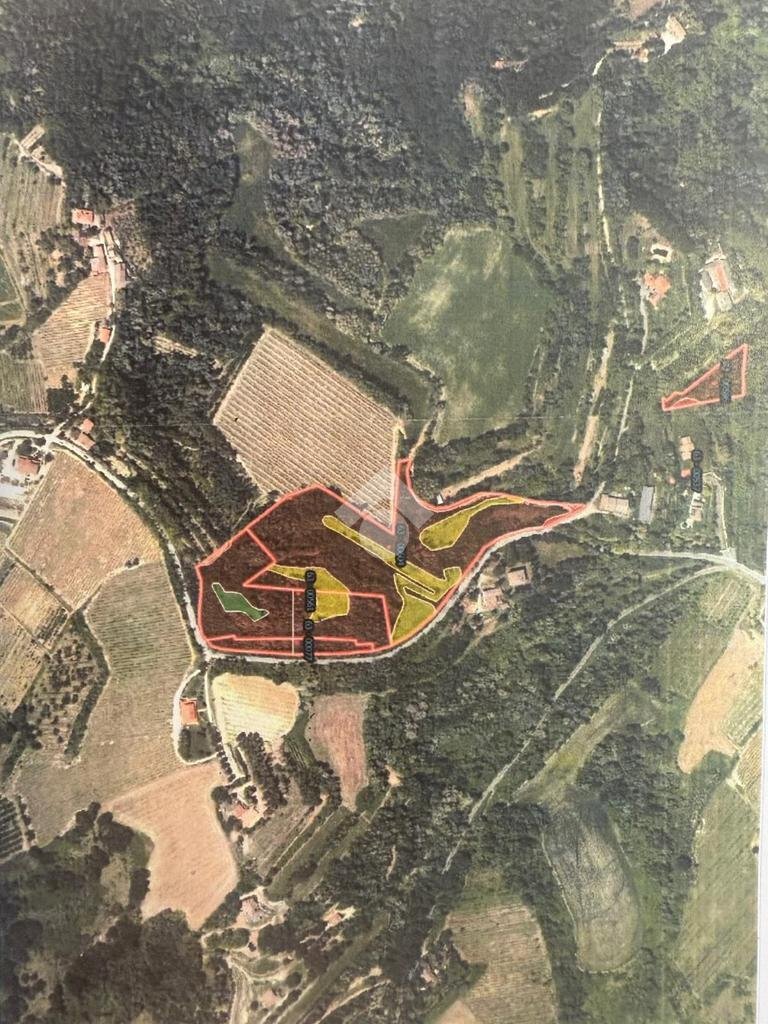Agricultural land Via Collinello, Bertinoro - photo 1