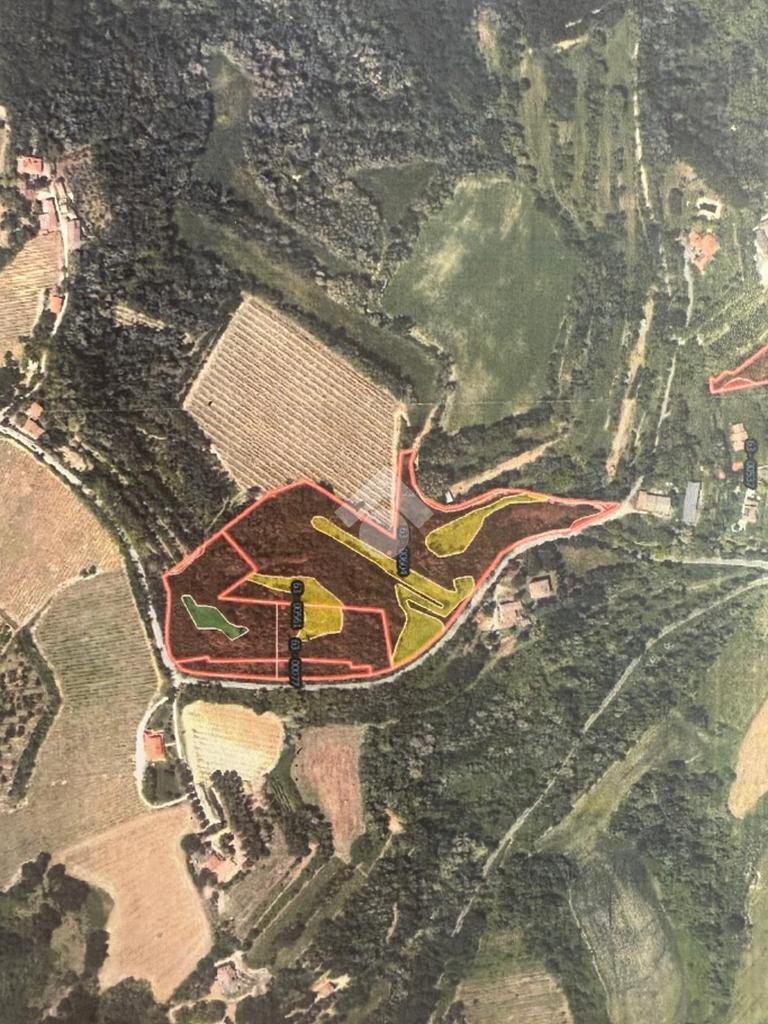 Agricultural land Via Collinello, Bertinoro - floor plans 1
