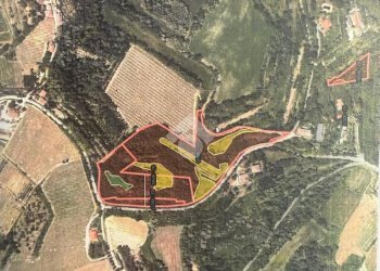 Terreno agricolo Via Collinello, Bertinoro - foto 8