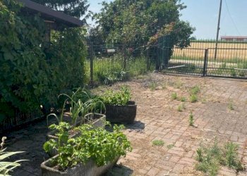 Rustic Imola - photo 2