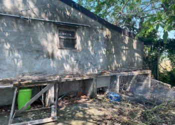 Rustic Imola - photo 7