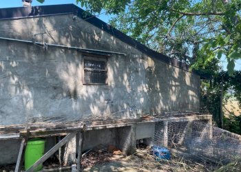 Rustic Imola - photo 8