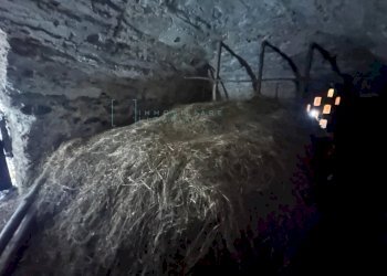 Foto 48 - Rustico Via Panizzara, Erli - foto 48