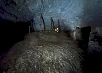 Foto 49 - Rustico Via Panizzara, Erli - foto 49