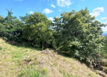 Foto 18 - Casa indipendente via Roma 127, Sant'Angelo in Pontano - foto 18