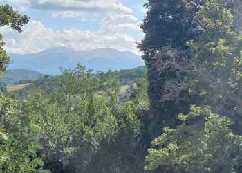 Foto 22 - Casa indipendente via Roma 127, Sant'Angelo in Pontano - foto 22