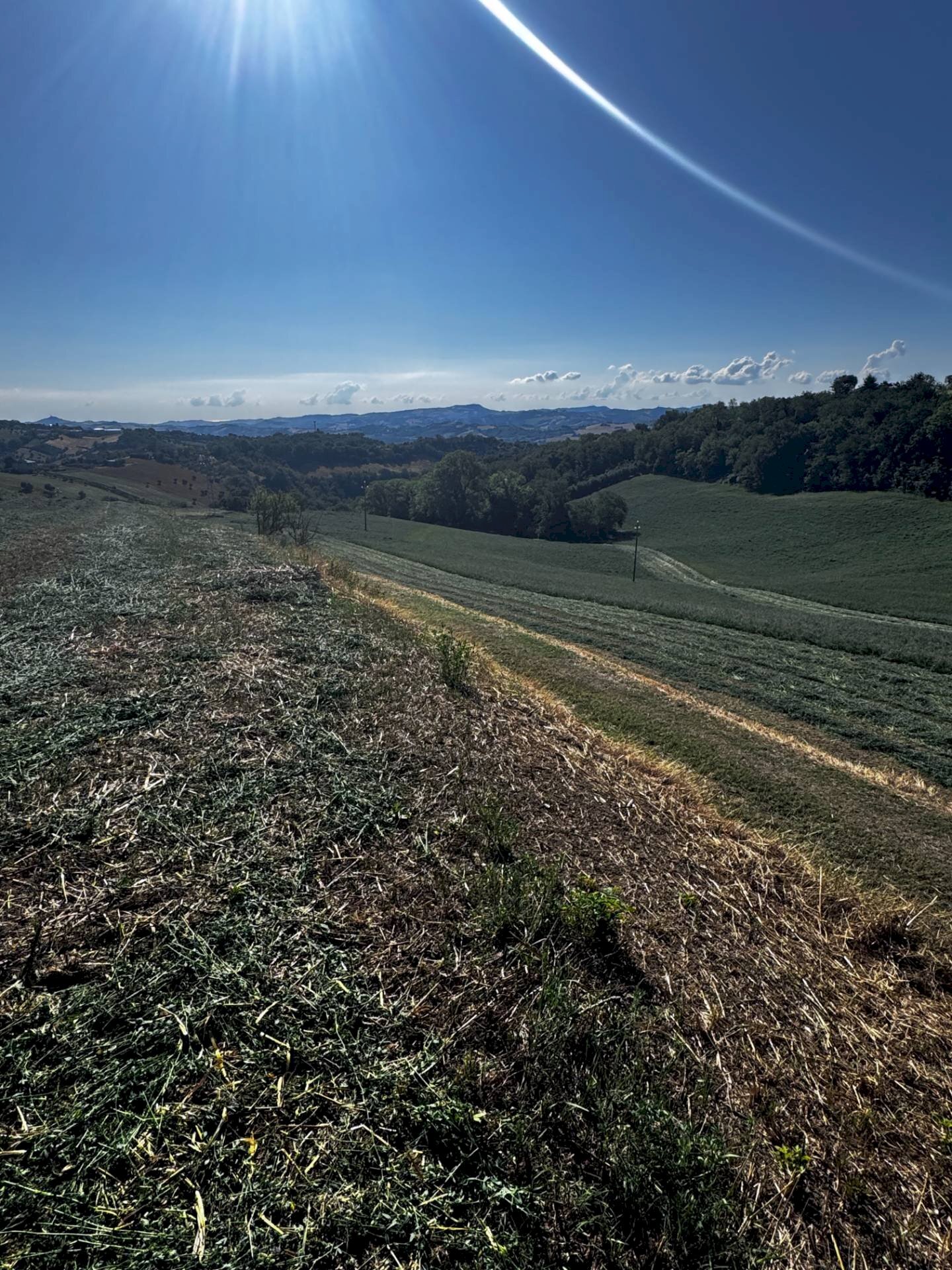 Foto 2 - Terreno agricolo contrada Montamboni, Montegiorgio - foto 2