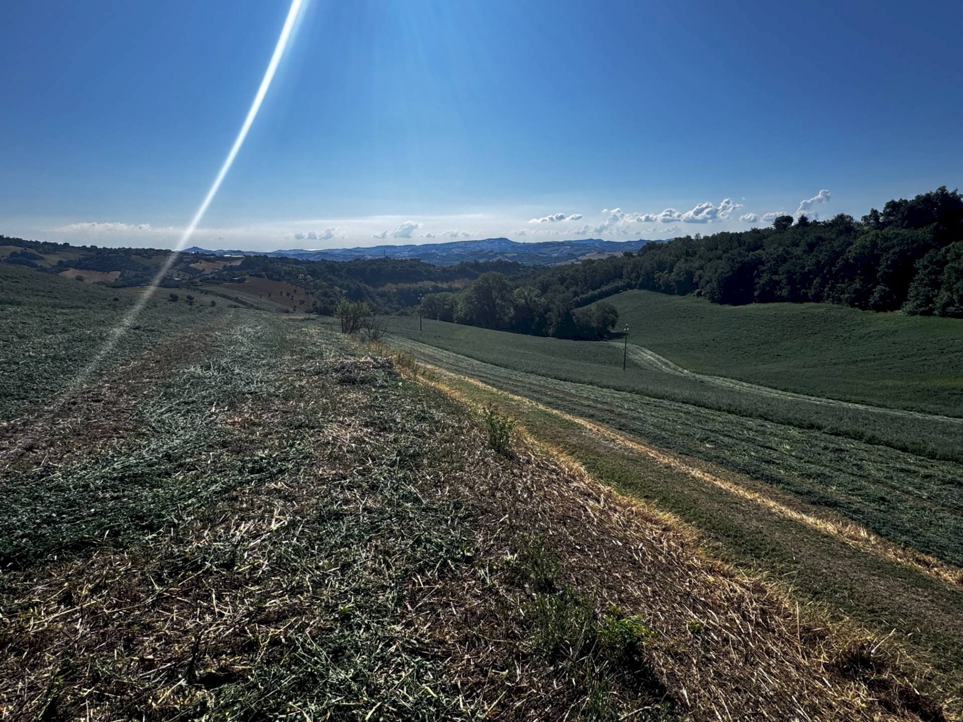 Foto 3 - Terreno agricolo contrada Montamboni, Montegiorgio - foto 3