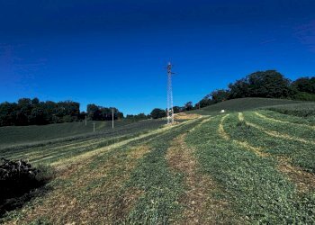Foto 4 - Terreno agricolo contrada Montamboni, Montegiorgio - foto 4