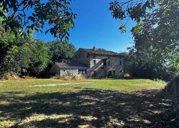 Foto 6 - Terreno agricolo contrada Montamboni, Montegiorgio - foto 6